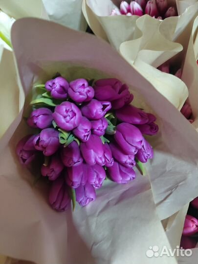 Тюльпаны 8 марта