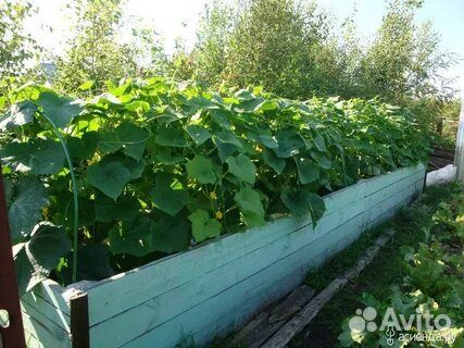 Планировочный грунт для выравнивания участка