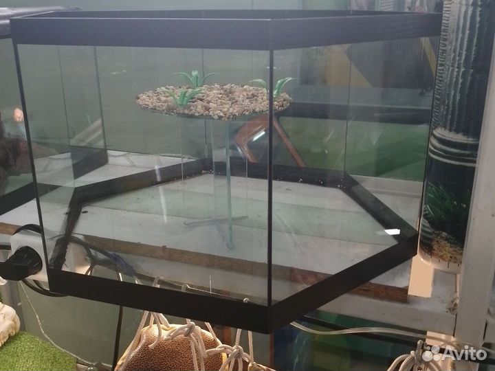 Черепашники, аквариумы