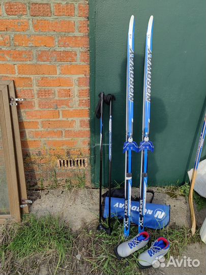 Беговые лыжи