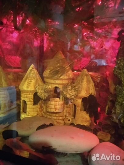 Украшение для аквариума