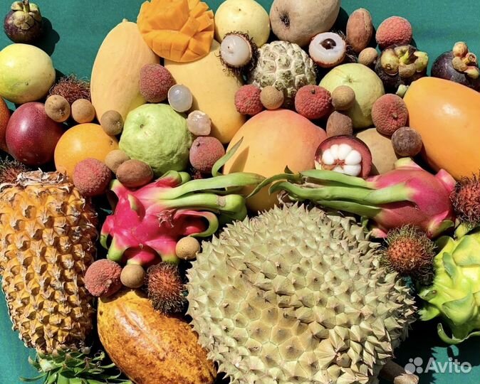 Экзотические фрукты