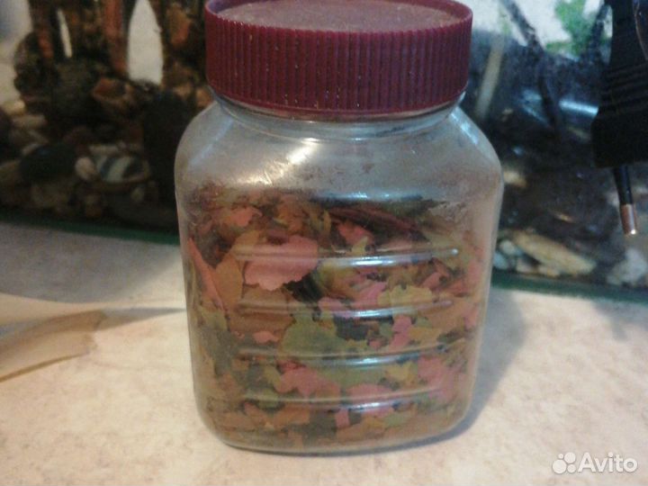 Аквариум и все для аквариума