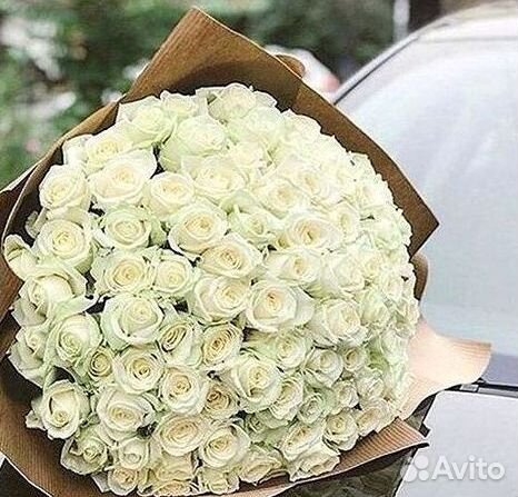 Высокие розы Гигантские розы 110