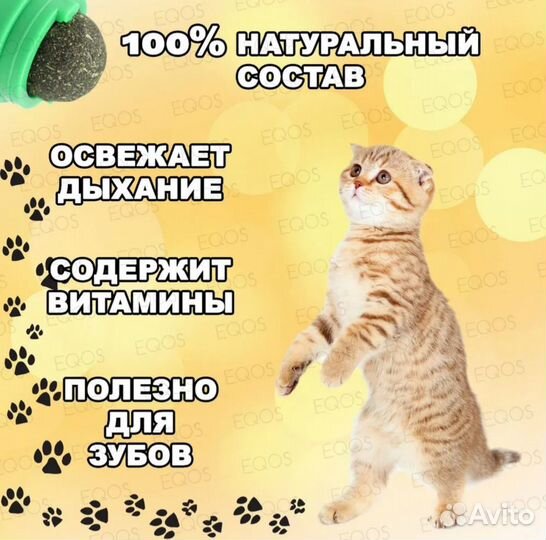 Бутылочка для кормления котят кошачья мята