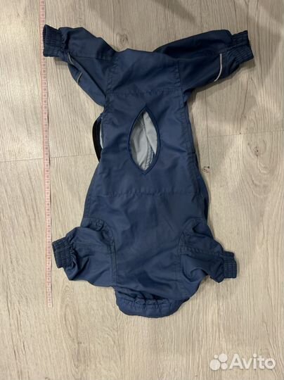 Одежда для собак