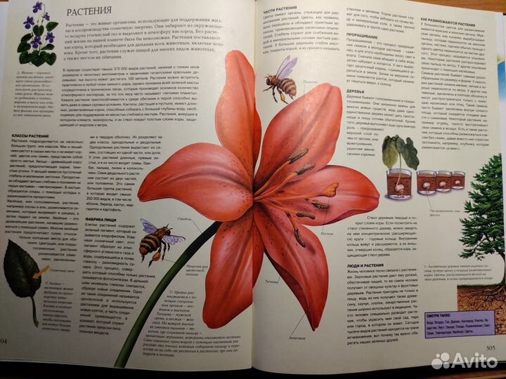 Иллюстрированная энциклопедия интеллекта