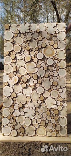 Спилы можжевельника