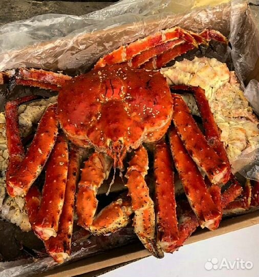 Краб Камчатский