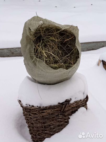 Сено луговое