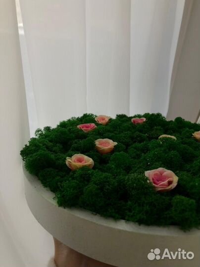 Фитокартина стабилизированный мох