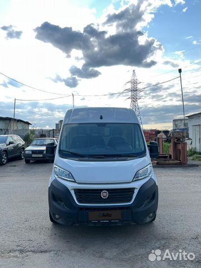 FIAT Ducato цельнометаллический, 2022