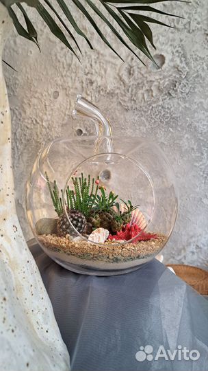 Флорариум в яблоке