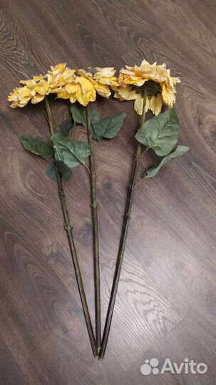 Декорактивные подсолнухи