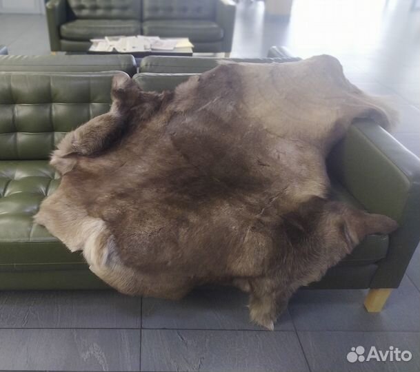 Шкура оленя натуральная