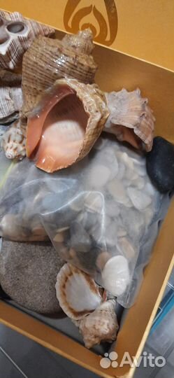 Грот, ракушки, камушки для авариума