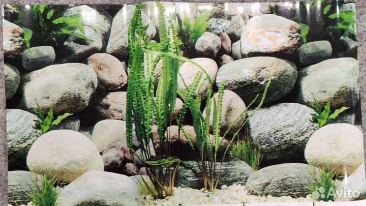 Фон и растения для аквариума