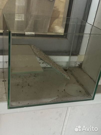 Аквариум для красноухой черепахи с фильтром