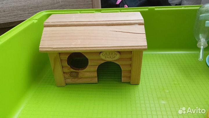 Клетка / дюна для сирийского хомяка