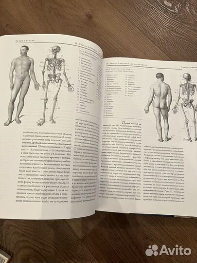 Анатомия для художников дюваль