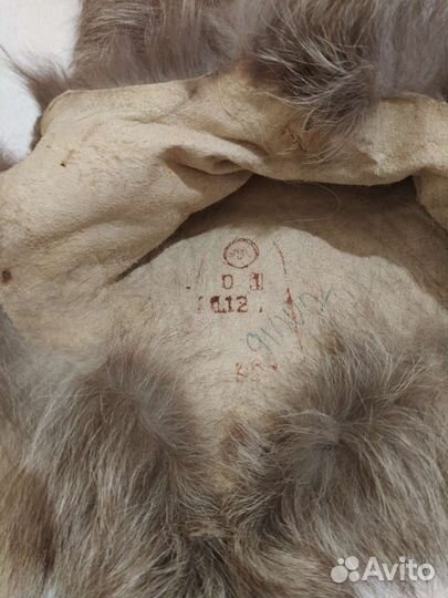 Шкура песца