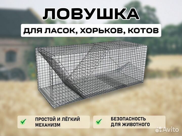 Ловушка для лис,ласок,котов
