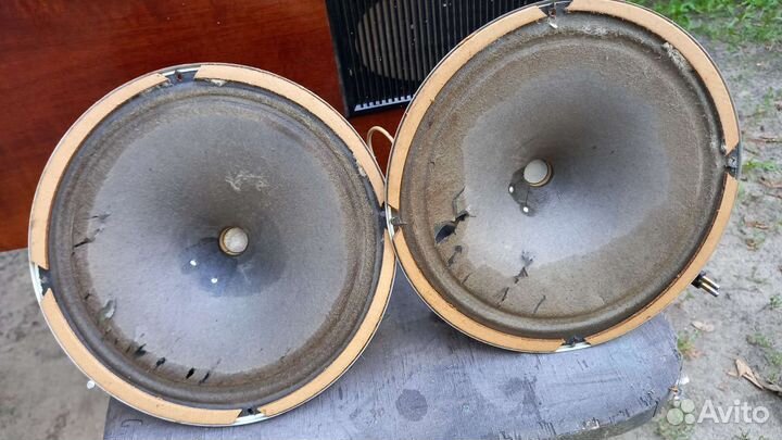 Динамики.комплект.с проводами. Ригонда