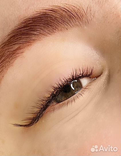 Наращивание ресниц, Брови