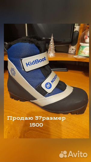 Лыжные ботинки