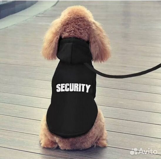 Худи, толстовка для животных