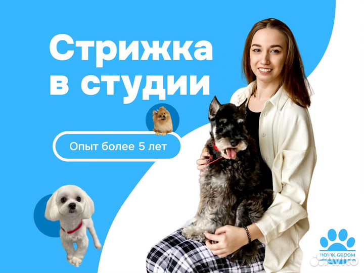 Стрижка собак зоостудия Novik groom