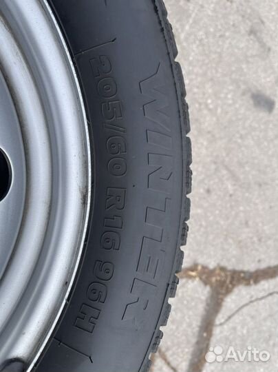 Tigar Winter 205/60 R16 77B