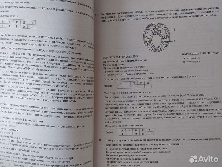 Егэ биология 2019 сборник в хорошем состоянии