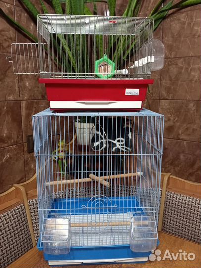 Клетки для птиц
