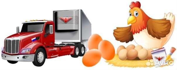 Фабричное инкубационное яйцо