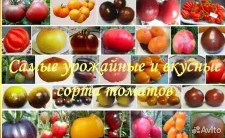 Семена из частной коллекции томатов, рассада