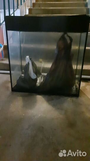 Аквариум для рыбок