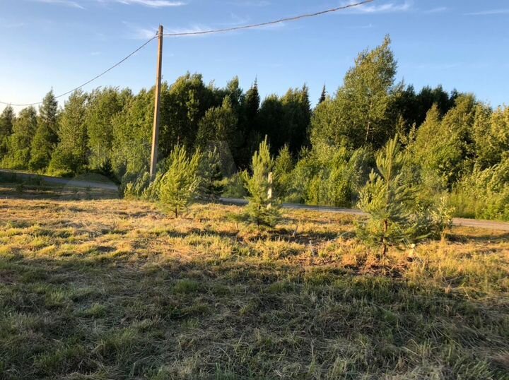 Участок 16,5 сот. (СНТ, ДНП)