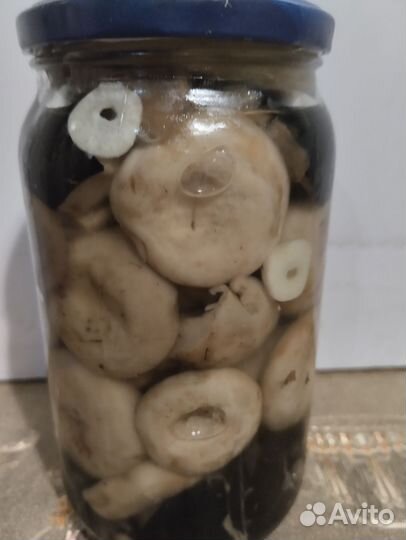 Грибы солёные, маринованные, сухие