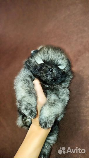 Невероятно красивые-реальные помдетки