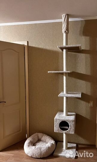 Кошачий домик когтеточка