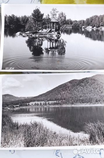 Фотографии