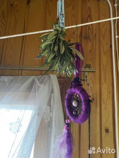 Лист облепихи, лесной малины