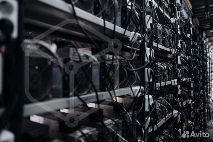 Майнинг отель, хостинг асик майнеров и контейнеров