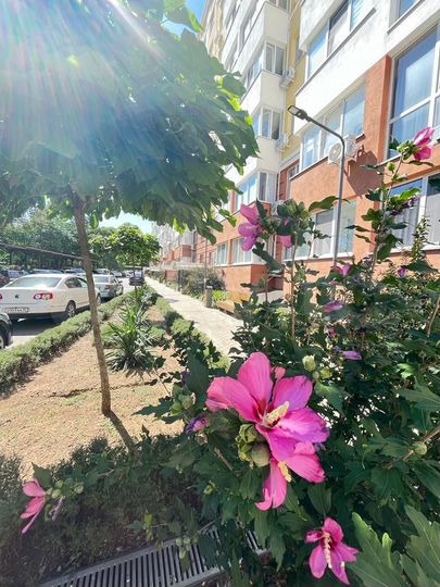 1-к. квартира, 36 м², 1/9 эт.