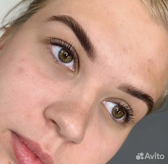 Бровист. Брови