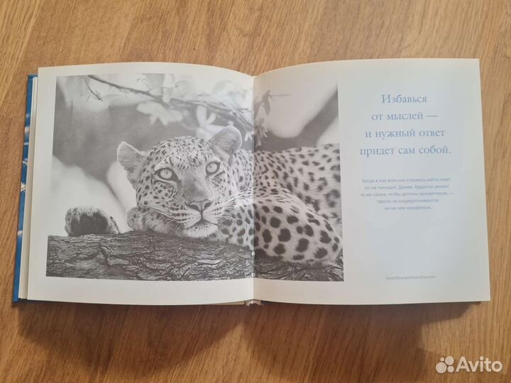 Книга-альбом 