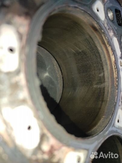 Блок цилиндров hwda Ford Focus 1,6 в сборе