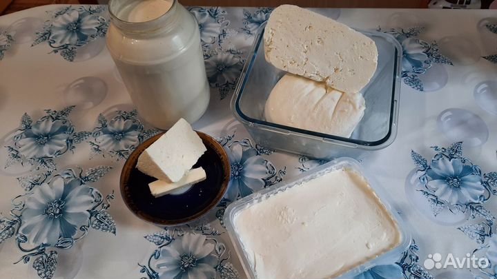 Молоко от Джерсейской коровы