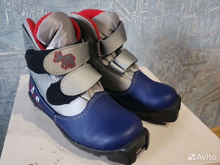 Лыжные ботинки